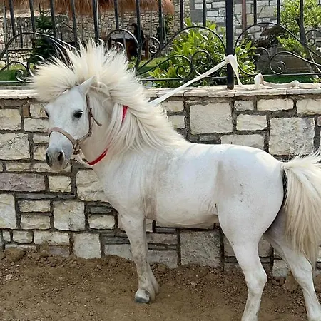 Çiftlik konaklama Miri Farm *