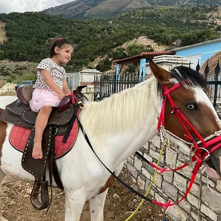 Farm stay Miri Farm Vlore